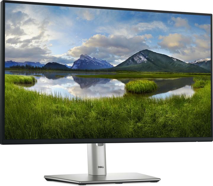 Dell P2425H (1920 x 1080 Pixel, 23.80")