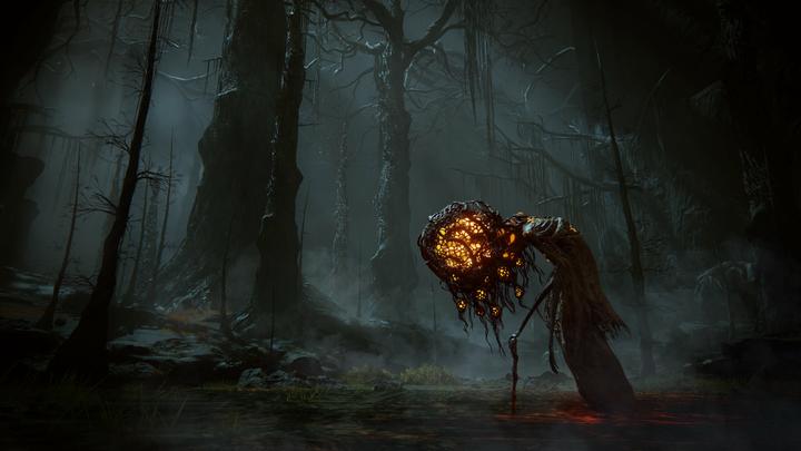 Actual product image Bandai Namco Elden Ring: Shadow of the Erdtree - Collector's Edition (Xbox Series X)