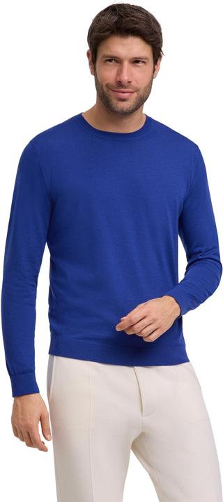 Actual product image Falke Men (L)