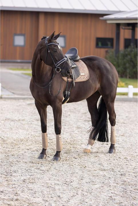 Immagine prodotto Imperial Riding Sky GP