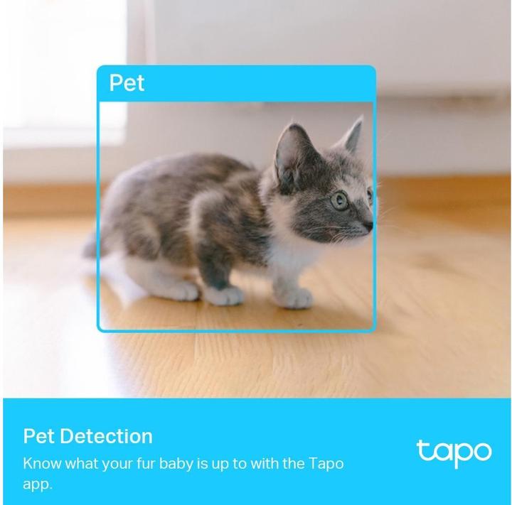 Produktbild TP-Link Tapo C225 V1 (2560 x 1440 Pixels)