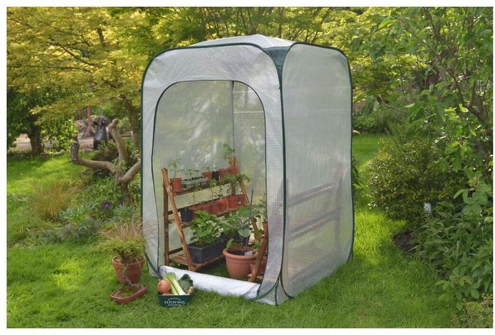 Colibri Tenda fitosanitaria L