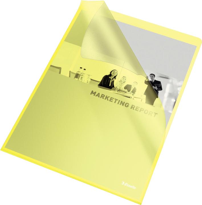 Actual product image Leitz Esselte (A4, 1 x)