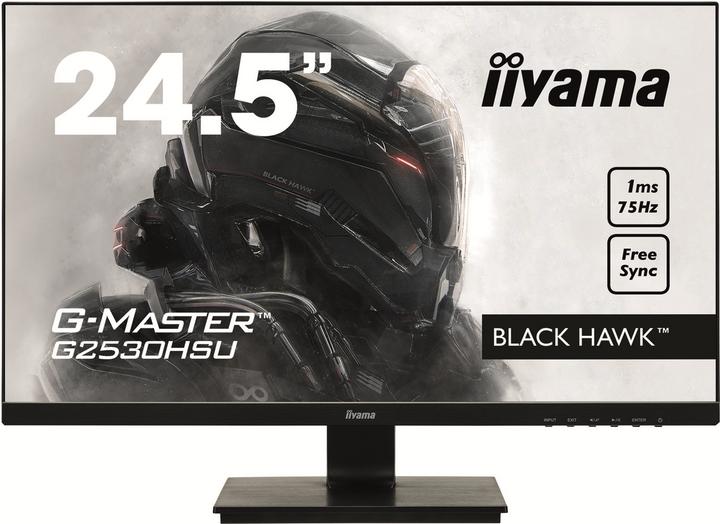 iiyama G2530HSU-B1 (1920 x 1080 pixels, 24.50")