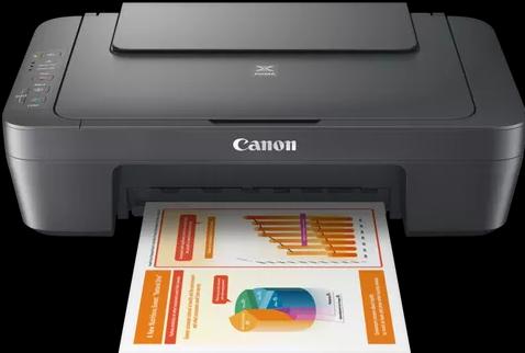 Actual product image Canon PIXMA MG2556S Ink MFP Colour 4ipm (Colour)