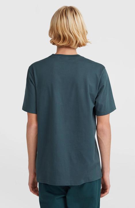 Actual product image O'Neill t-shirt o'nei sma chest print (L)