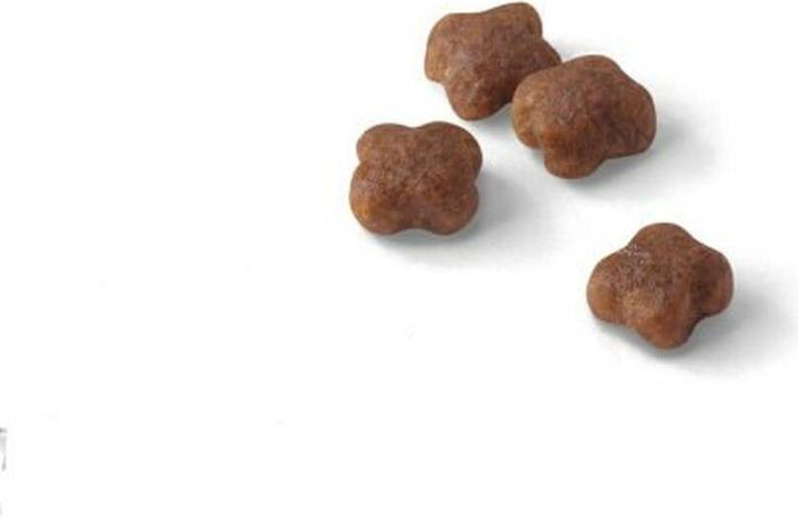 Image du produit Royal Canin Babycat 34 (Junior, 1 pcs, 2000 g)