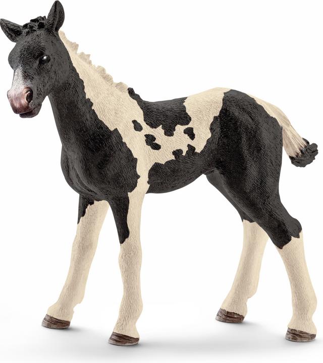 Actual product image Schleich Pinto foal