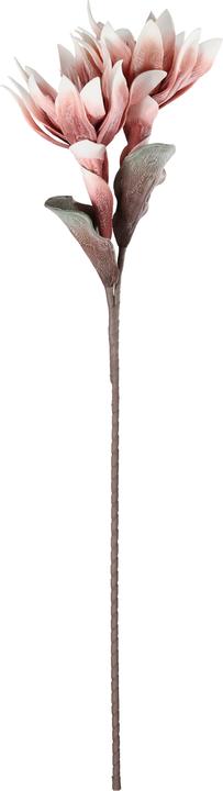 Immagine prodotto EGLO LIVING Molave (28 cm)