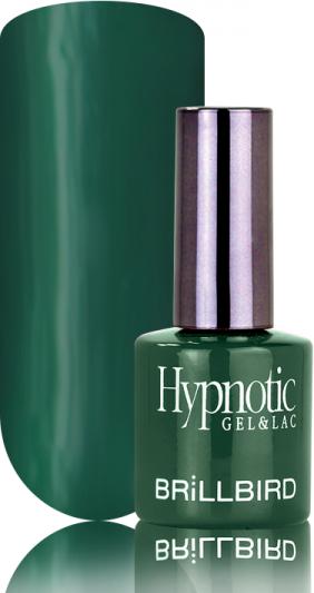 Produktbild BrillBird Hypnotic G&L “24” – 8ml (UV-Gel Lack)