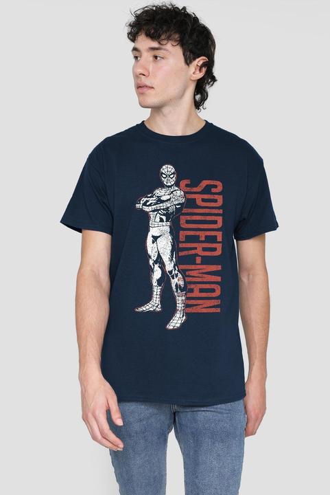 Actual product image Spiderman Mens Hero Stance T-Shirt (M)