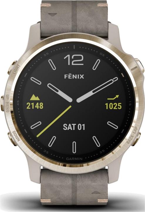 Actual product image Garmin Fenix 6S Sapphire (42 mm)