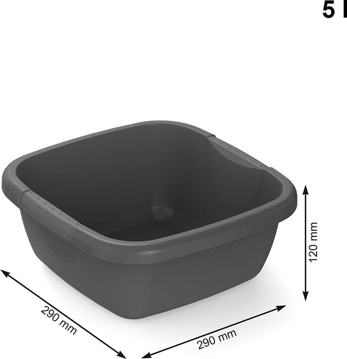 Actual product image Rotho Bowl 'Daily (1 pcs.)