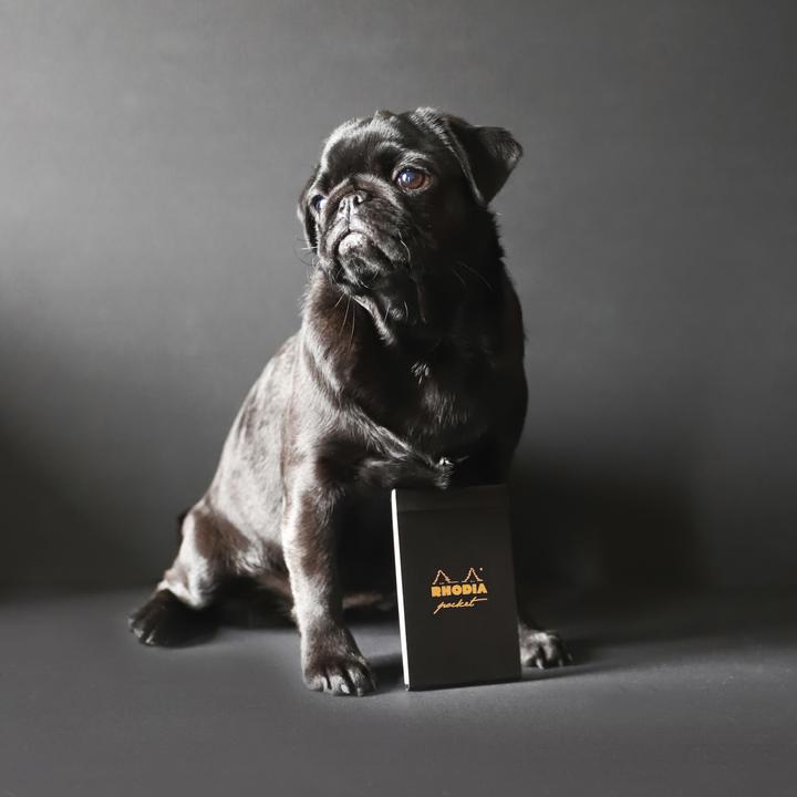 Actual product image Rhodia Bloc Pocket (7.5 x 12 cm, Checked, Hardcover)