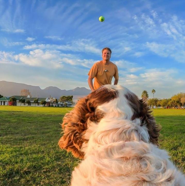 Produktbild Insta360 GO 3/GO 3S Pet Harness Mount Si (Go 3)
