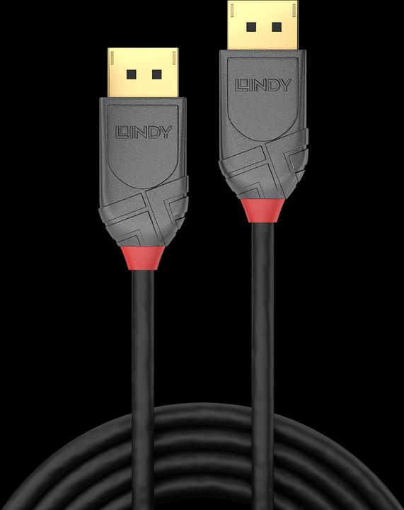 Actual product image Lindy DisplayPort — DisplayPort (2 m, DisplayPort)