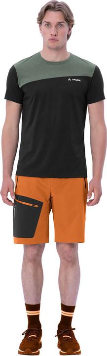 Actual product image Vaude Badile Shorts (48)