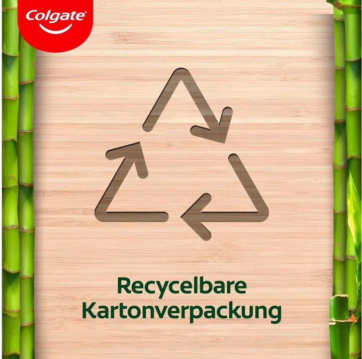 Immagine prodotto Colgate Bamboo Kids Orso / Koala 6+ anni Morbido (Morbido, 1 x)