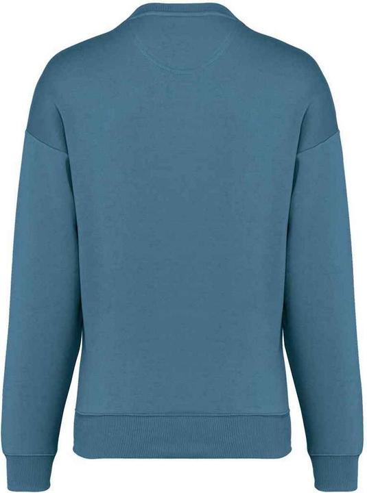 Actual product image Native Spirit Womens/Ladies Oversized Sweatshirt (XL)