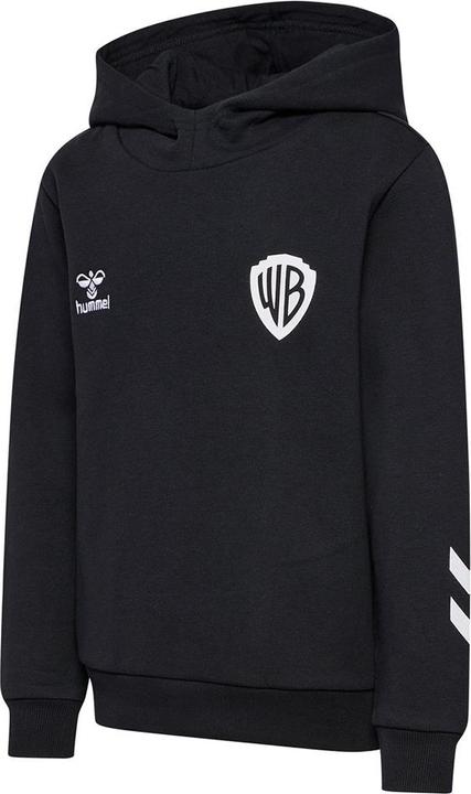 Actual product image hummel Hmlcelebrating Story Hoodie (134)