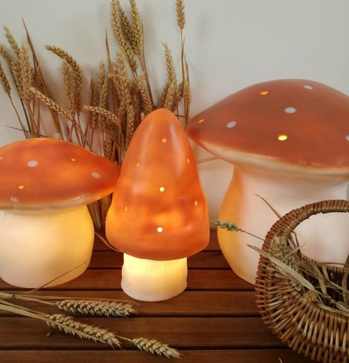 Image du produit Egmont Champignon