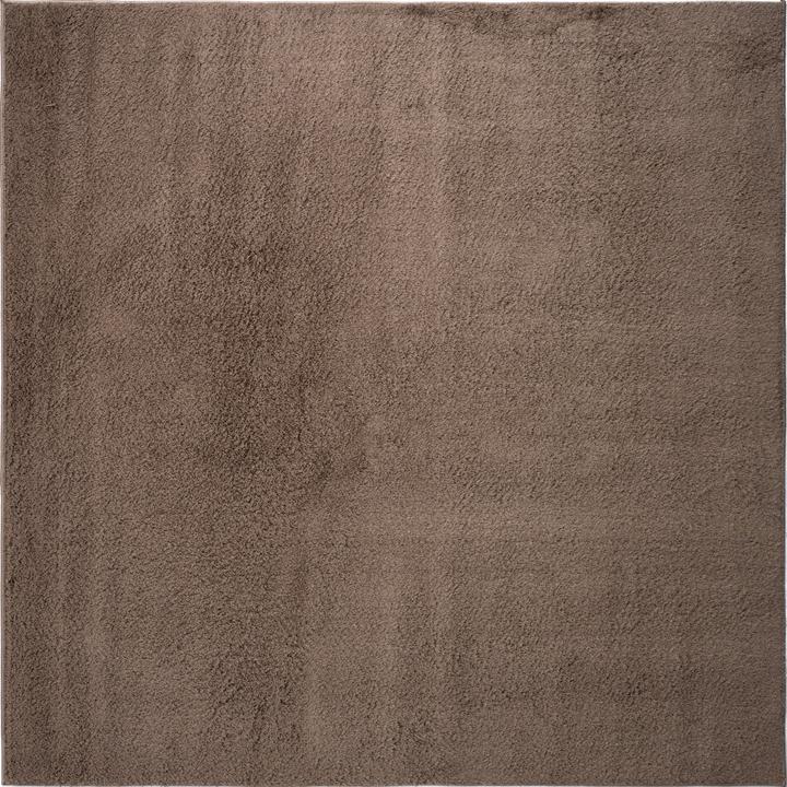 Braun