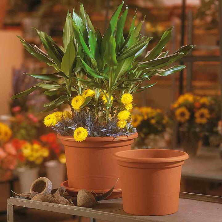 Actual product image Euro3plast Planter (25 cm)