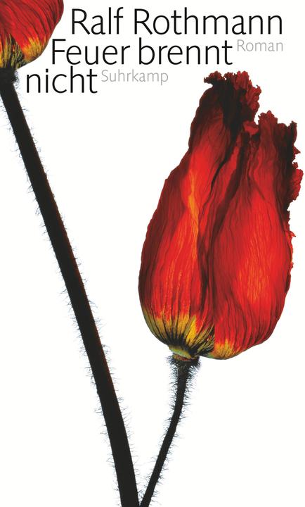 Image du produit Feuer brennt nicht (Allemand, Ralf Rothmann, 2009)