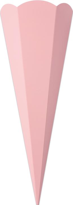 Actual product image Folia School cone blanks for siblings (41 cm, 5 x)