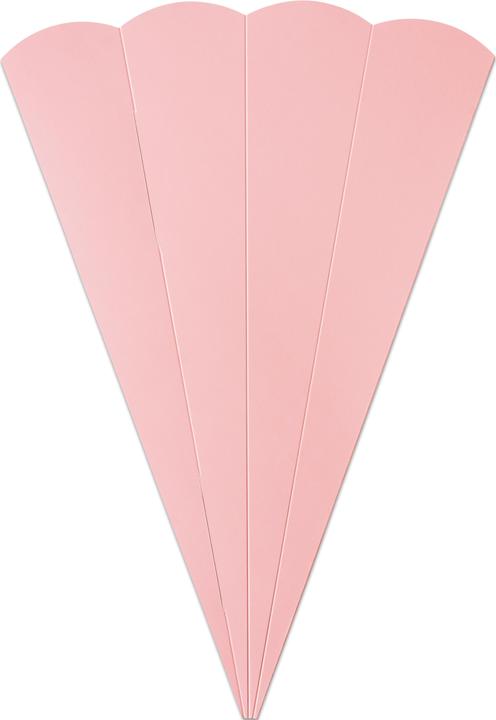 Actual product image Folia School cone blanks for siblings (41 cm, 5 x)