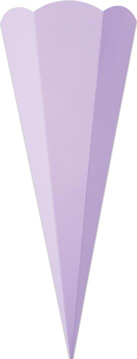 Actual product image Folia School cone blanks for siblings (41 cm, 5 x)