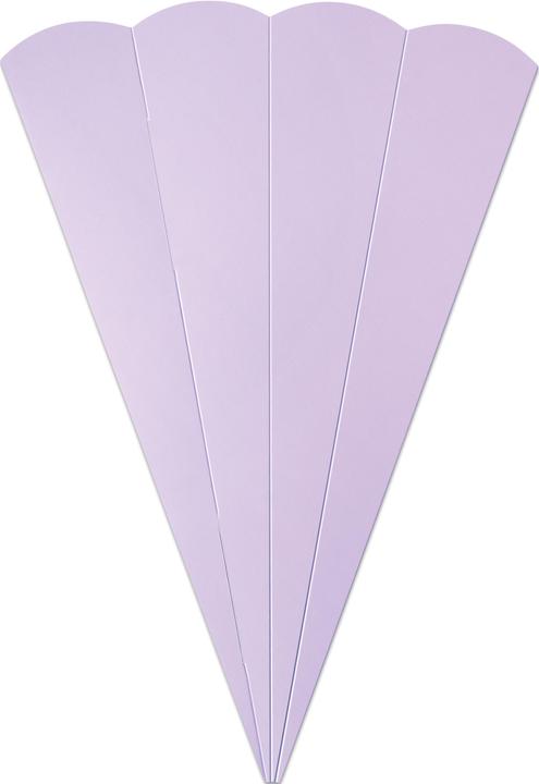 Actual product image Folia School cone blanks for siblings (41 cm, 5 x)