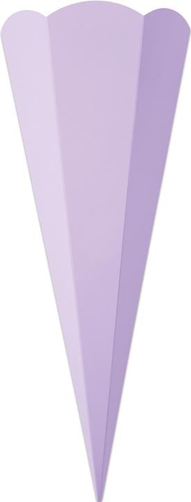 Actual product image Folia School cone blanks