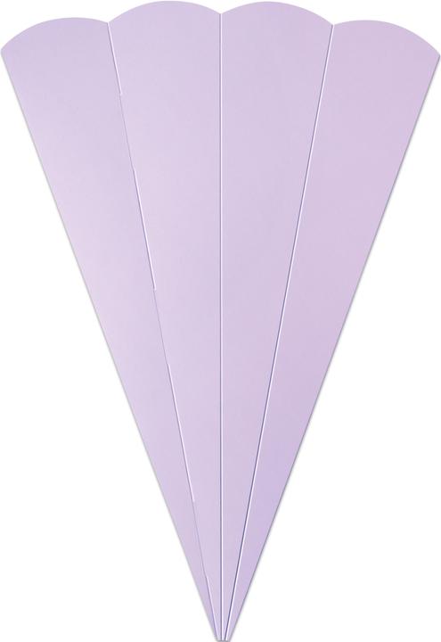 Actual product image Folia School cone blanks