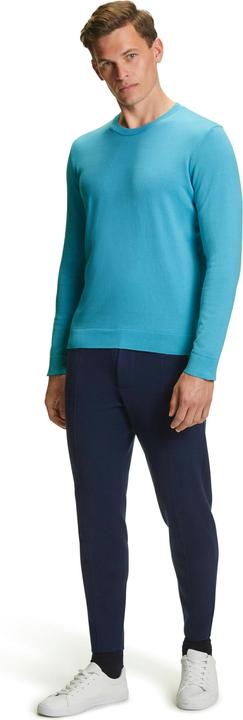 Actual product image Falke Men Pullover (S)