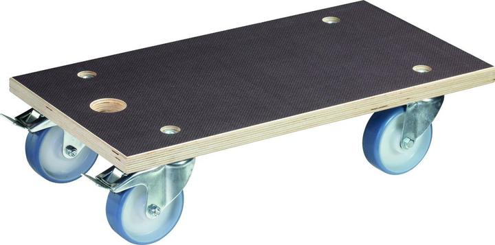 Wagner System MM 1341 (500 kg)