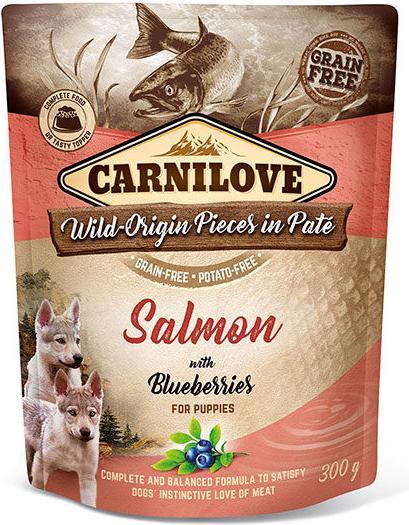 Immagine prodotto Carnilove Cane Cucciolo Pouch Paté Salmone & Mirtilli (Cucciolo + gattino, 1 pz., 300 g)