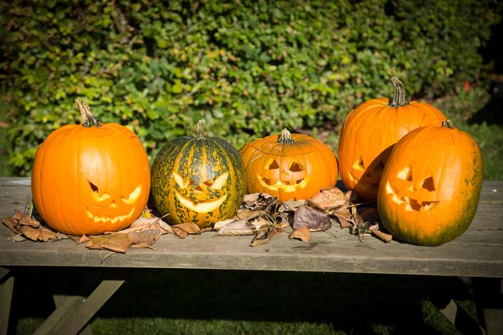Immagine prodotto Creativ Company Strumento per intagliare la zucca
