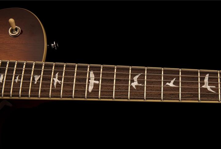 Immagine prodotto PRS SE 245 Standard (Chitarra elettrica, Mogano)