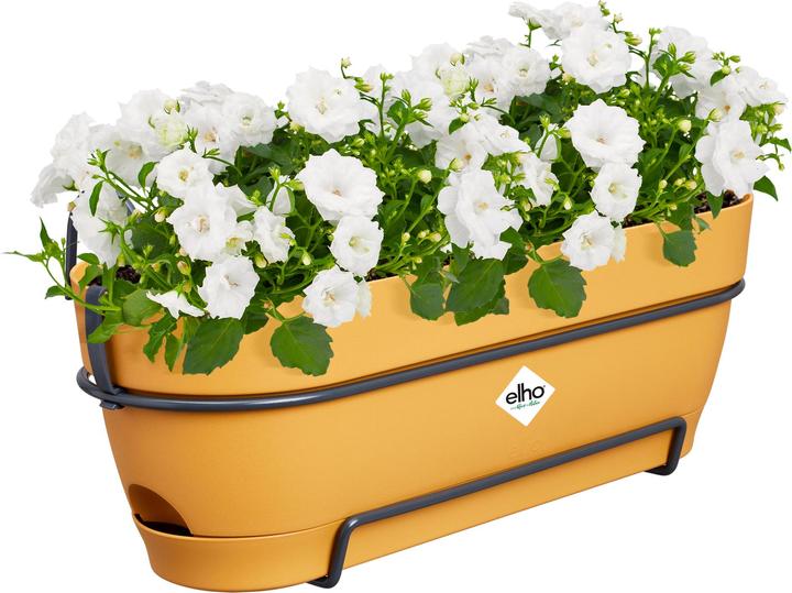 Immagine prodotto Elho Vibia Campana Balcony Box Allin1 (26 cm)