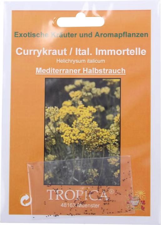Actual product image Tropica Currykraut Helichrysum italicum (Herb seeds)