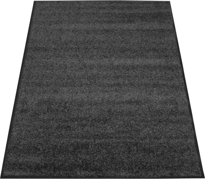 Image du produit Miltex Tapis de propreté EAZYCARE COLOR, 1200 x 1800 mm, gris (120 x 180 cm)