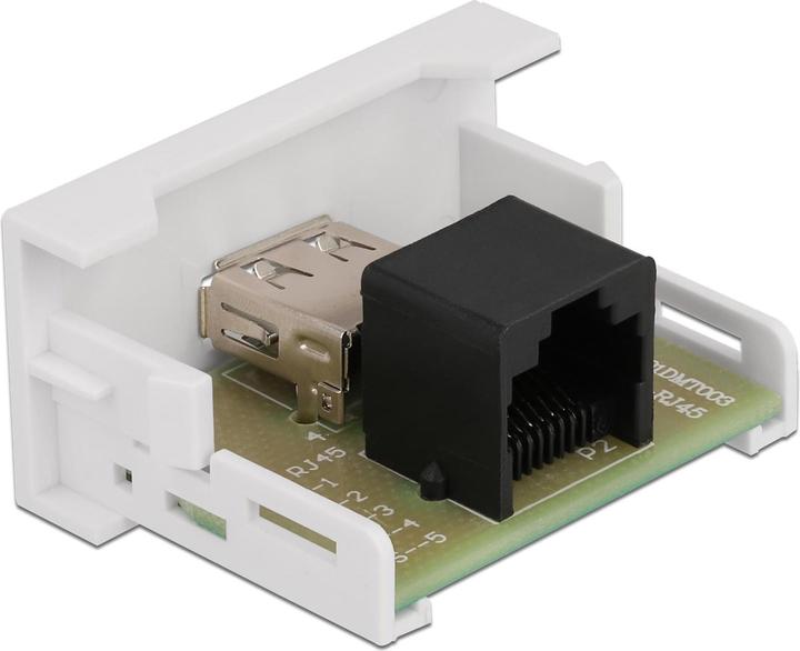 Immagine prodotto Delock Modulo Easy 45 Da presa USB 2.0 Tipo-A a presa RJ45 22,5 x 45 mm (0.03 m)