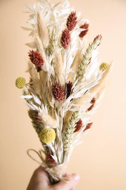 Actual product image la fleur douce Dried flowers Desert Flower (Dried flowers)