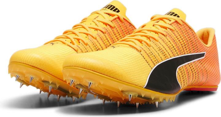 Puma evoSPEED FUTURE 6 (36)