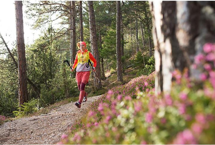 Image du produit Salewa Carbonium Alp Speed Poles (46 - 130 cm)