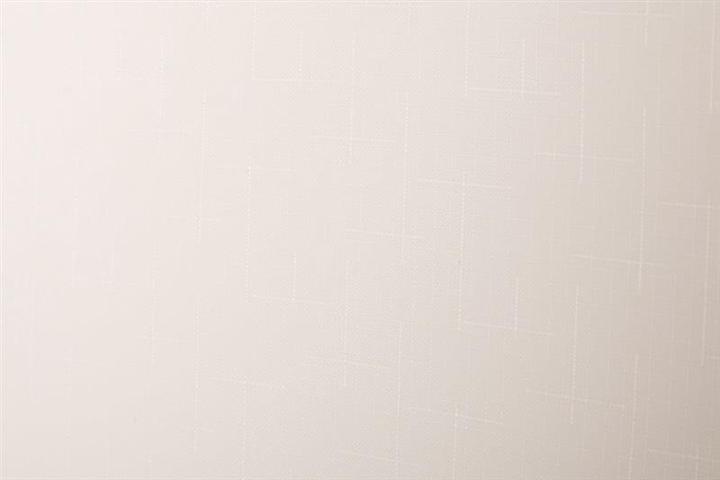 Immagine prodotto Domoletti TENDA A RULLO SHANTUNG 875 220X170 (45 x 45 cm)