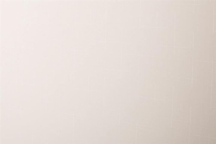 Produktbild Domoletti ROLLER BLIND SHANTUNG 875 90X230 (105 x 45 cm)