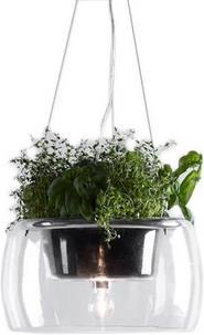 Image du produit Markslöjd Plant (E27)