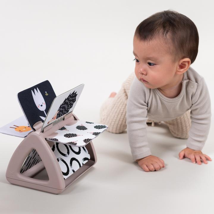 Produktbild Taf Toys Black & White (Deutsch, Französisch, Italienisch, Englisch, Schweizerdeutsch)